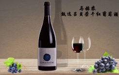 馬赫農(nóng)佳達(dá)美獨(dú)立甄選限量呂貝榮干紅葡萄酒 Marrenon